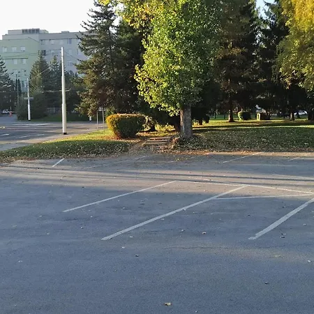 Wolkerova
